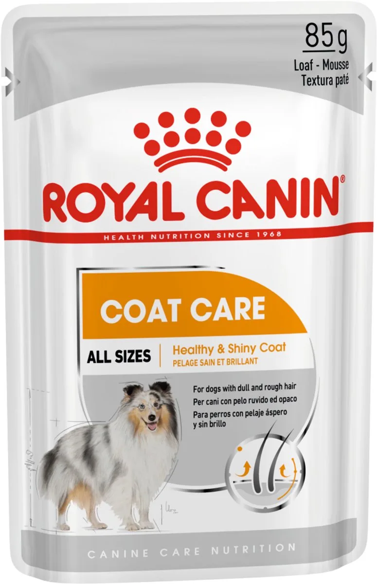 Coat Care Natvoer - 12x85 g - Hondenvoer von Royal Canin – Produktfoto