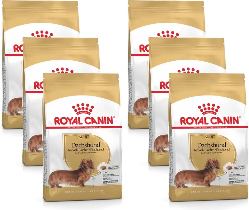 Dachshund Adult - Hondenvoer - 6 x 1,5 kg - Volwassen Teckel by Royal Canin – product photo