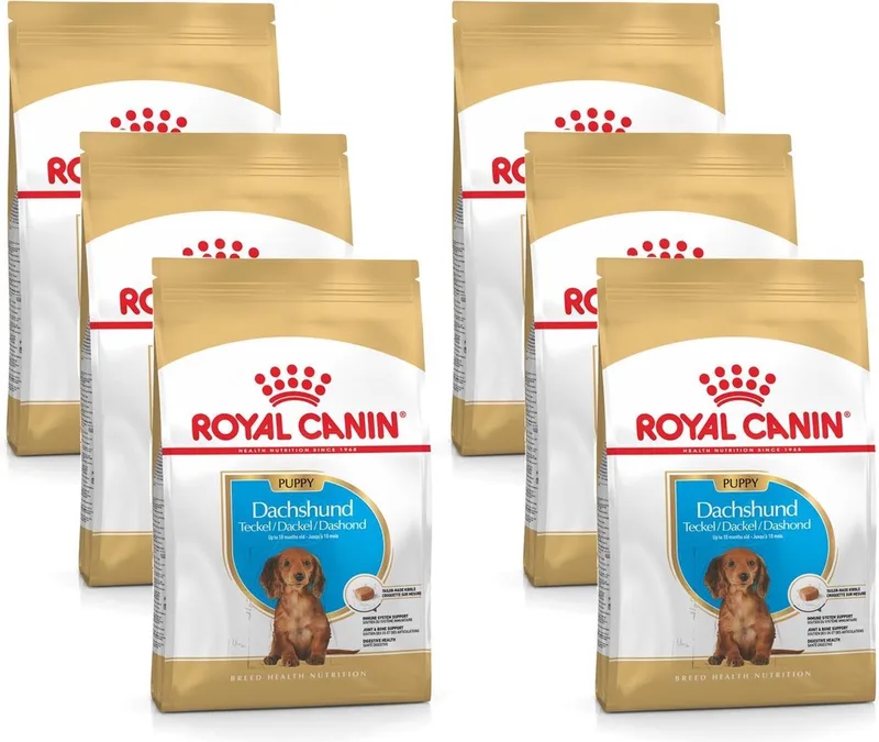 Dachshund - Puppy-Hondenvoer - 6 x 1.5 kg by Royal Canin – product photo