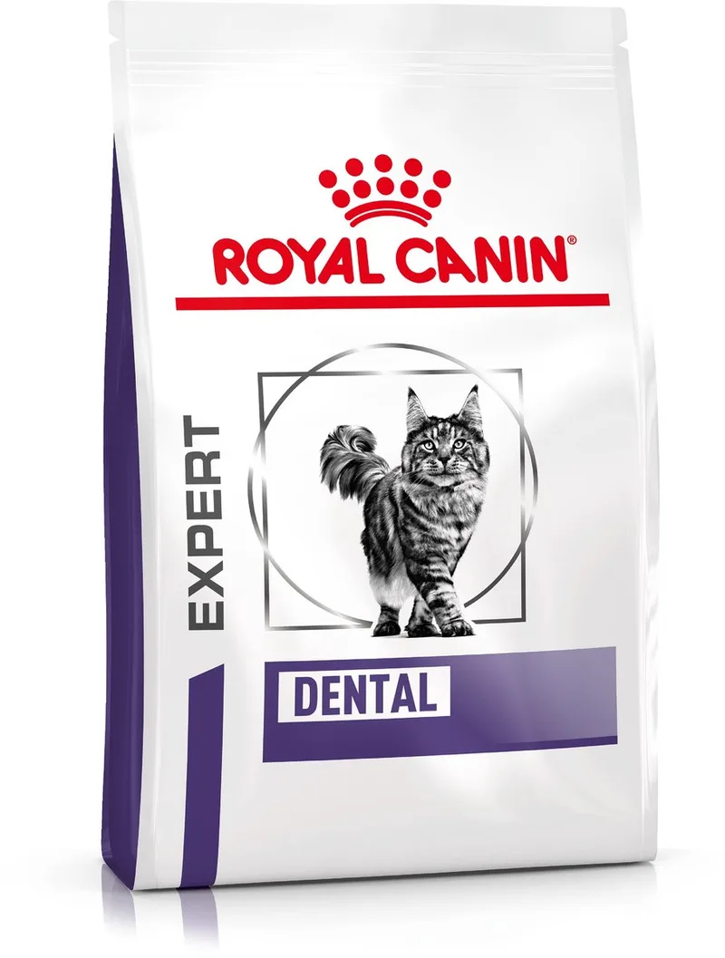 Expert Dental - Kattenvoer - Voor Gebit - 3 kg by Royal Canin – product photo