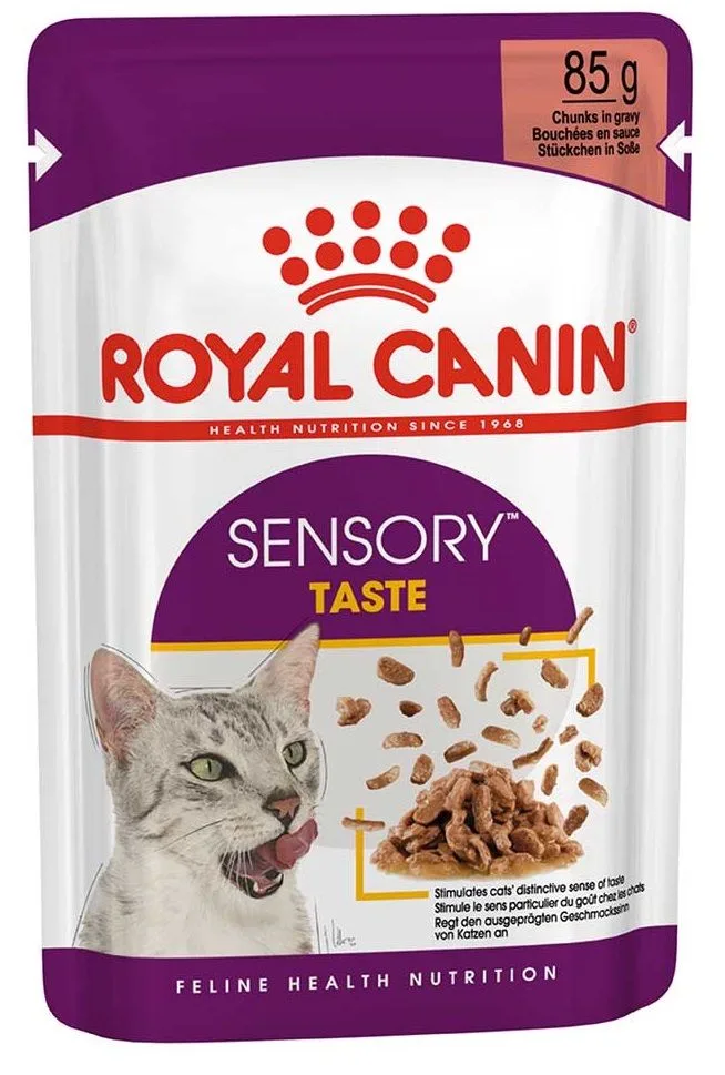 FHN Sensory Taste in Gravy von Royal Canin – Produktfoto