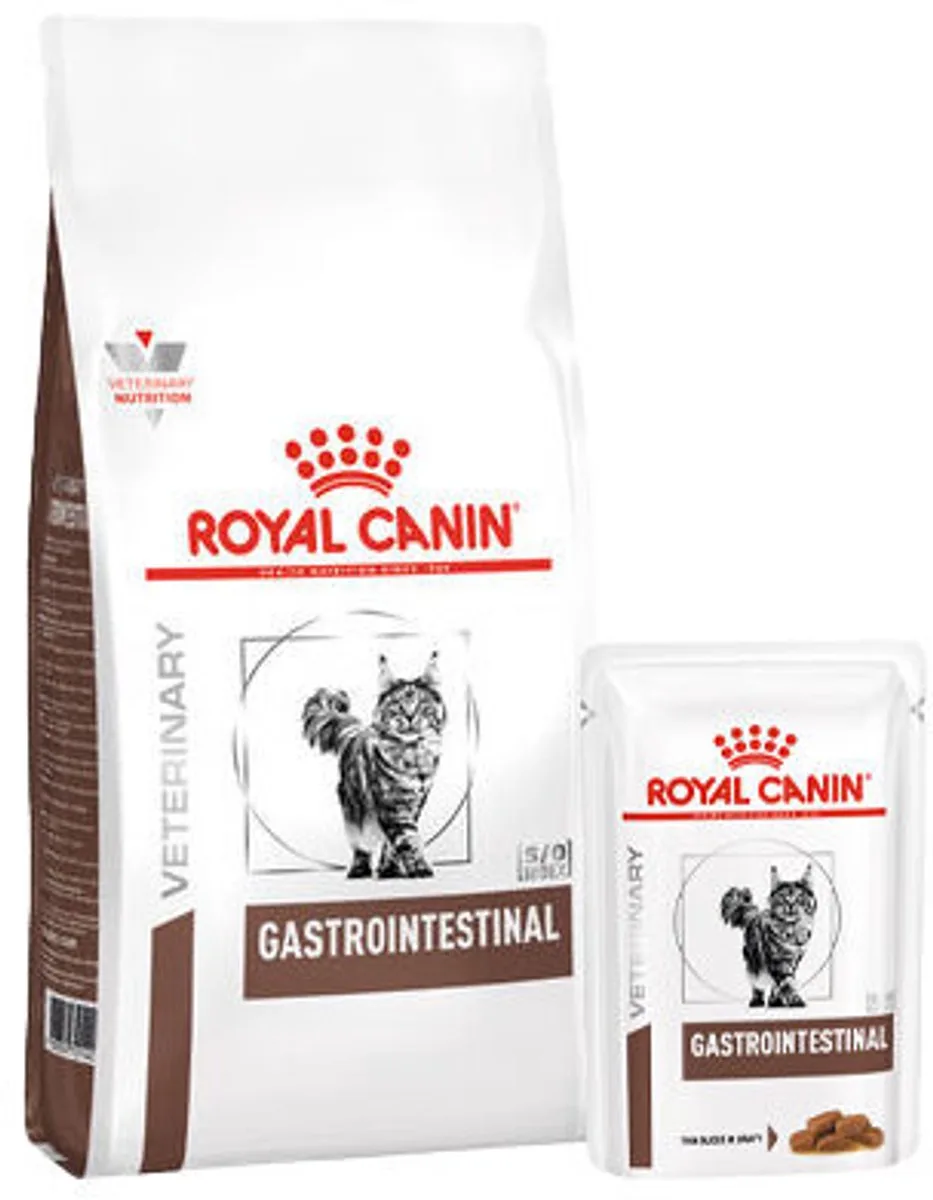 Gastro Intestinal Kat Combi bundel - 4 kg + 12 x 85 gr de Royal Canin – photo produit