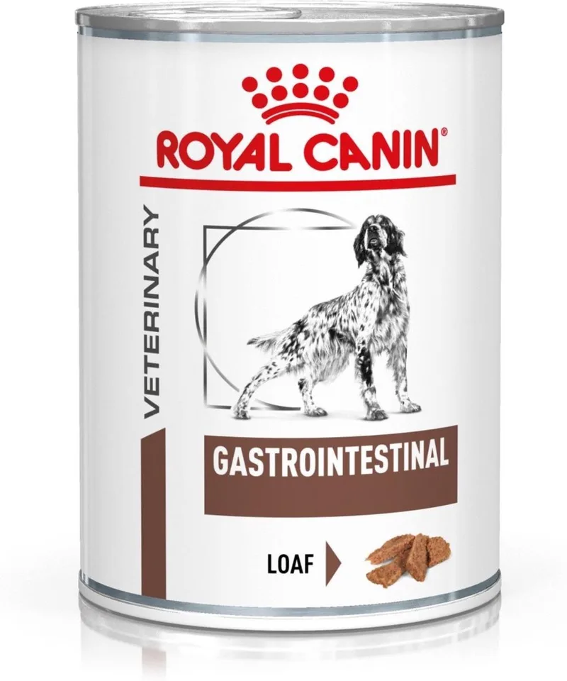 Gastro Intestinal Wet - Hondenvoer - 200 g von Royal Canin – Produktfoto