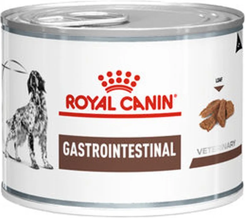 Gastrointestinal Hond natvoer - Blik - 2 x 12 x 400 g de Royal Canin – photo produit