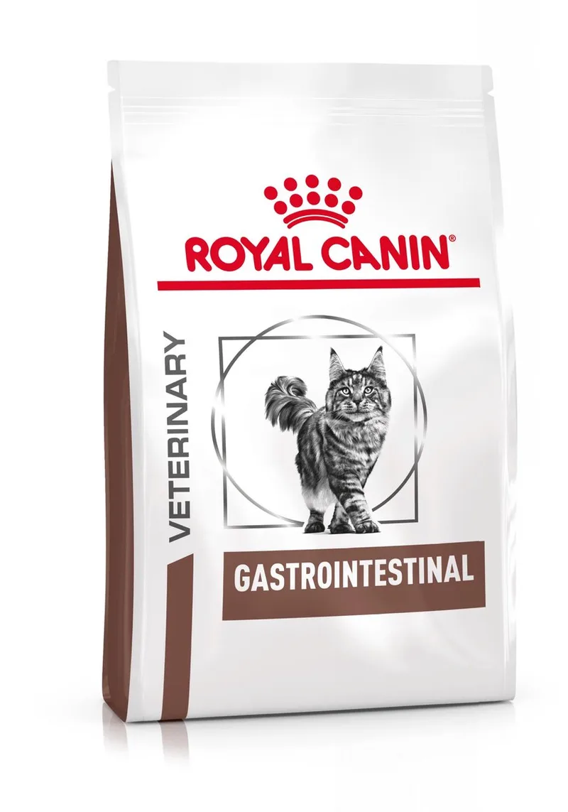 GastroIntestinal - Kattenvoer - Spijsvertering - 4 kg de Royal Canin – photo produit