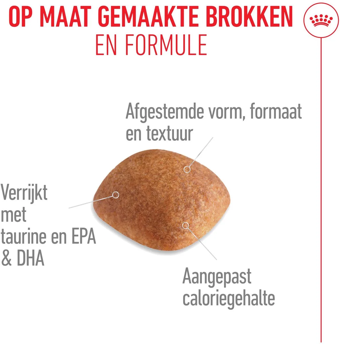 Golden Retriever Adult - 2 x 12 kg från Royal Canin – produktbild