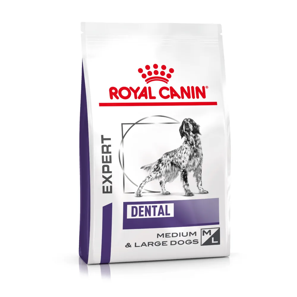 Hondenvoer Droog Dental Medium & Large Dogs 13 kg by Royal Canin – product photo
