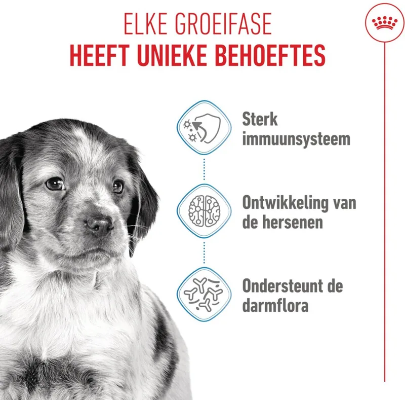Hondenvoer Droog Medium Puppy - 1 kg von Royal Canin – Produktfoto