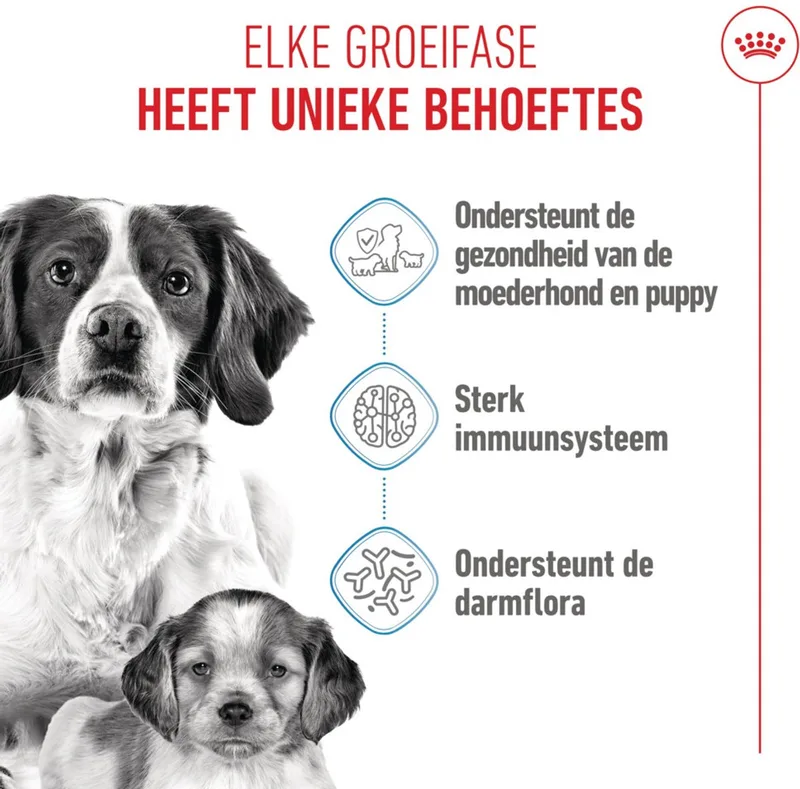 Hondenvoer Droog Mother & Baby Medium Starter - 1 kg de Royal Canin – photo produit