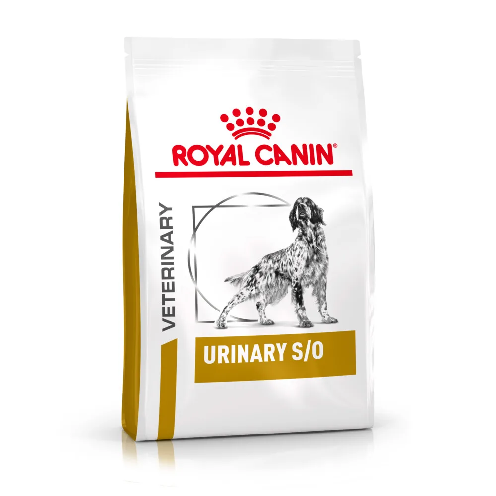 Hondenvoer Droog Urinary S/O 13 kg de Royal Canin – photo produit