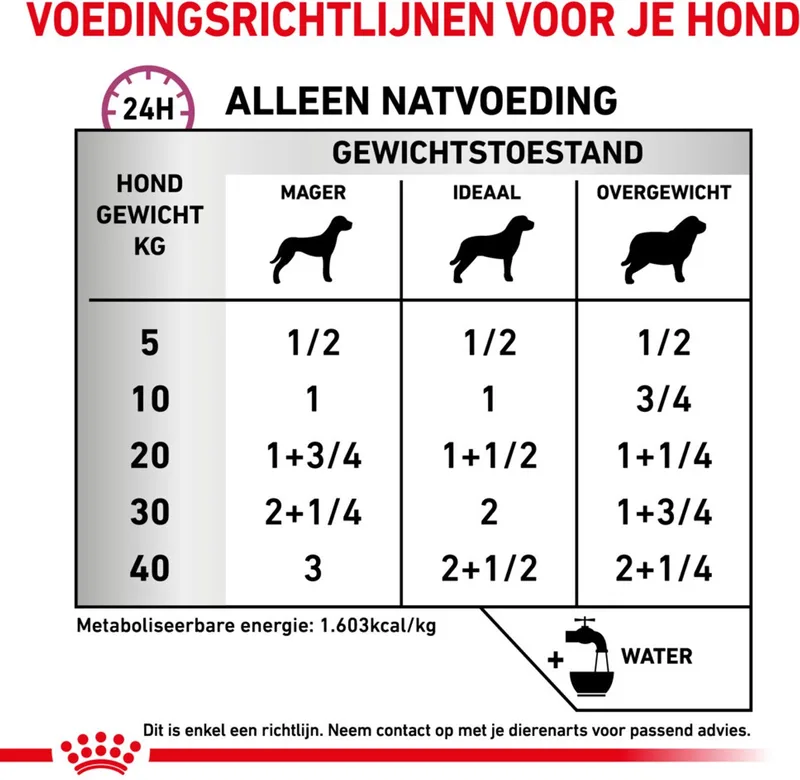 Hondenvoer Nat Renal Special - 12 x 410 gr von Royal Canin – Produktfoto
