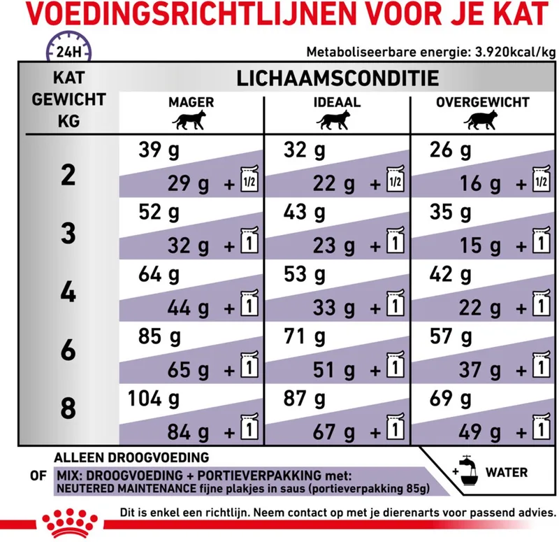 Kattenvoer Droog Expert Adult - 2 kg von Royal Canin – Produktfoto