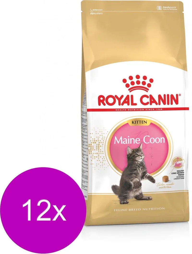 Kattenvoer Droog Maine Coon Kitten - 12 x 400 gr från Royal Canin – produktbild