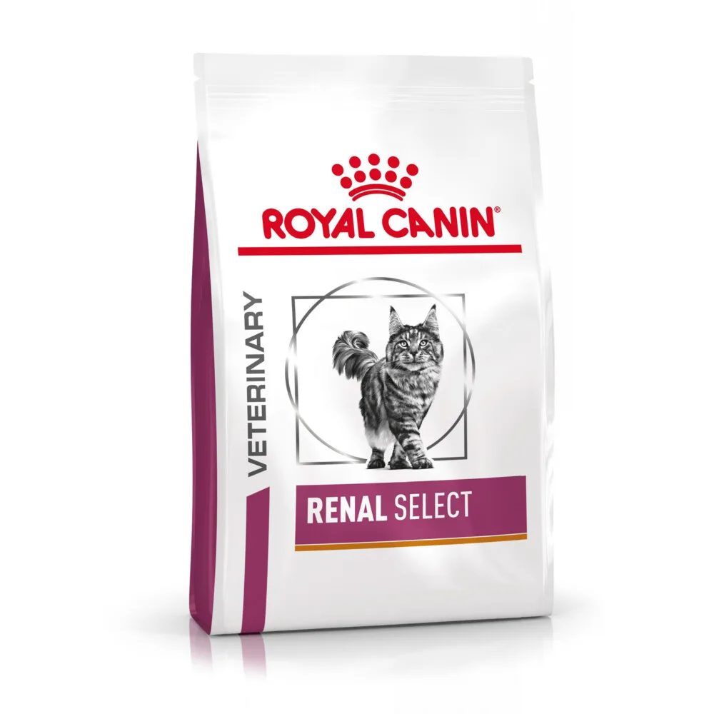Kattenvoer Droog Renal Select 4 kg by Royal Canin – product photo