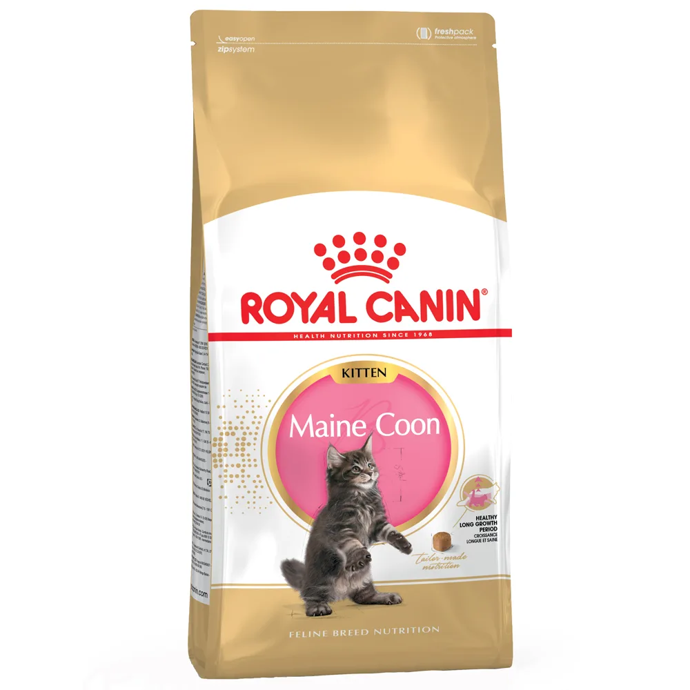 Kattenvoer Kitten Maine Coon 36 10 KG van Royal Canin – productfoto