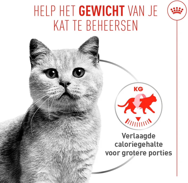 Kattenvoer Nat Light Weight Care Airlift Mousse - 12 x 85 gr de Royal Canin – photo produit