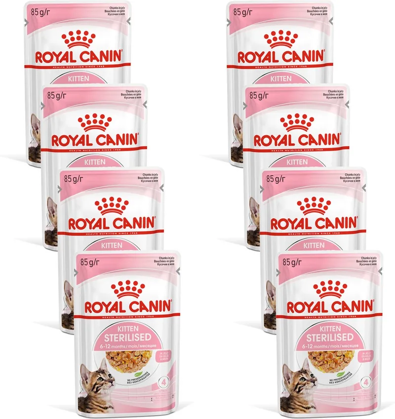Kitten Sterilised Jelly - Kitten-Kattenvoer - 8 x 12x85 g de Royal Canin – photo produit