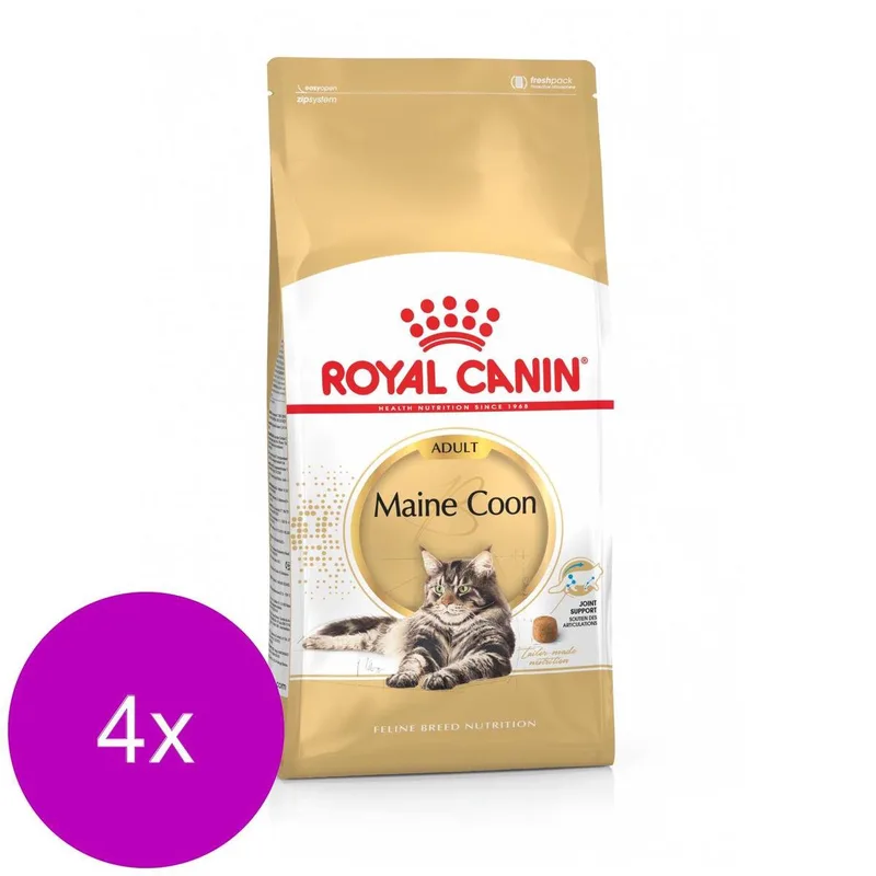 Maine Coon Adult - Kattenvoer - 4 x 4 kg de Royal Canin – photo produit