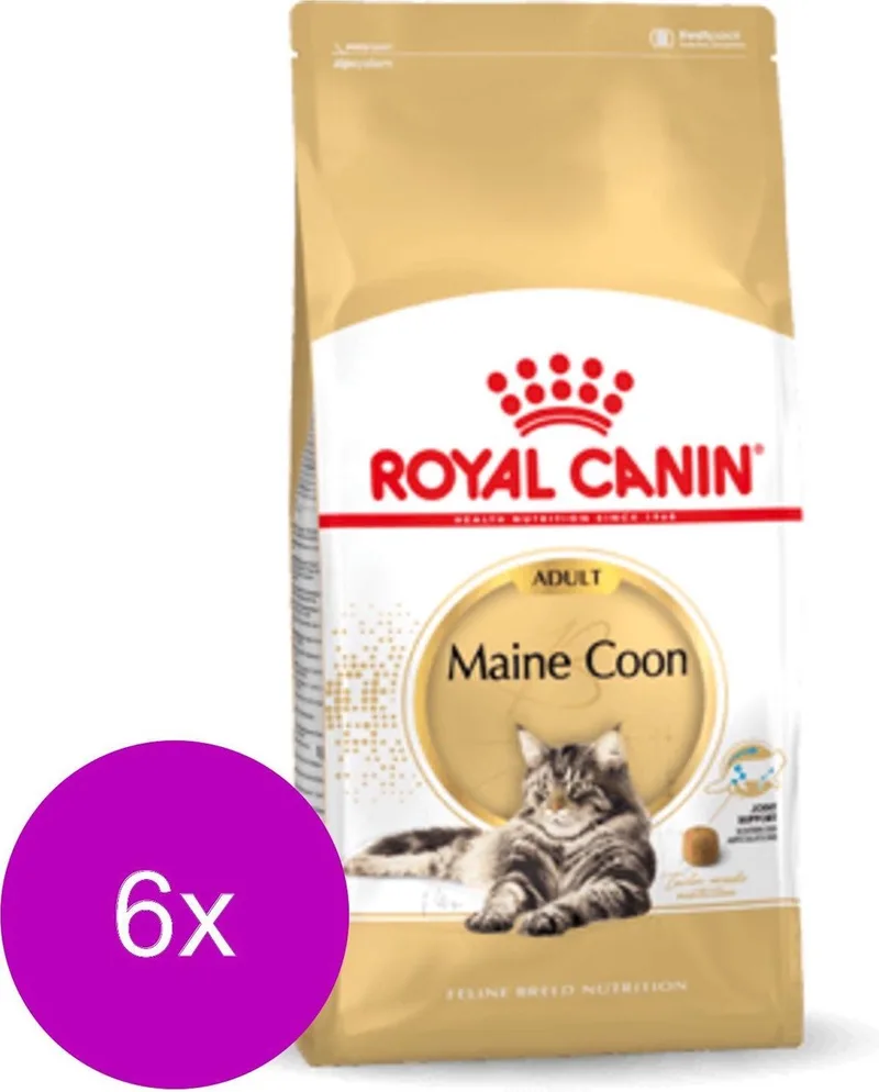 Maine Coon Adult - Kattenvoer - 6 x 2 kg von Royal Canin – Produktfoto