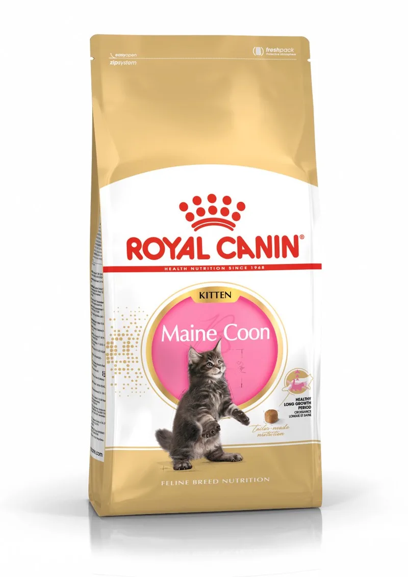 Maine Coon Kitten - Kattenvoer - 4kg von Royal Canin – Produktfoto