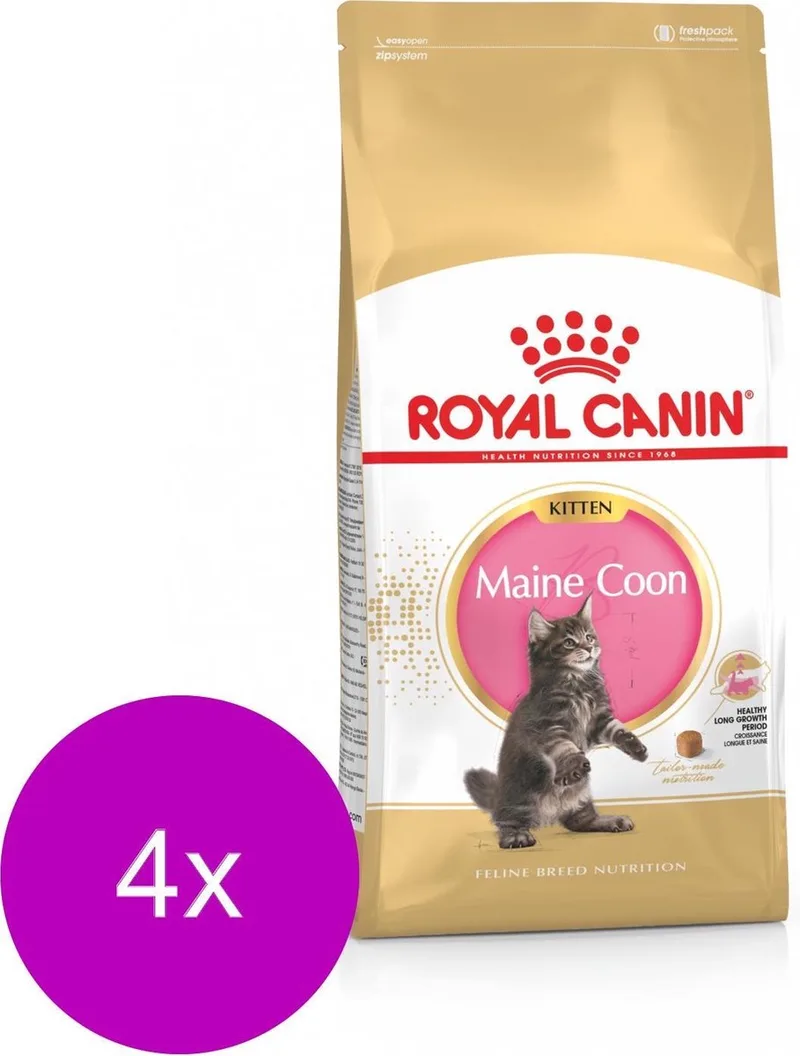 Maine Coon Kitten - Kitten-Kattenvoer - 4 x 4 kg von Royal Canin – Produktfoto