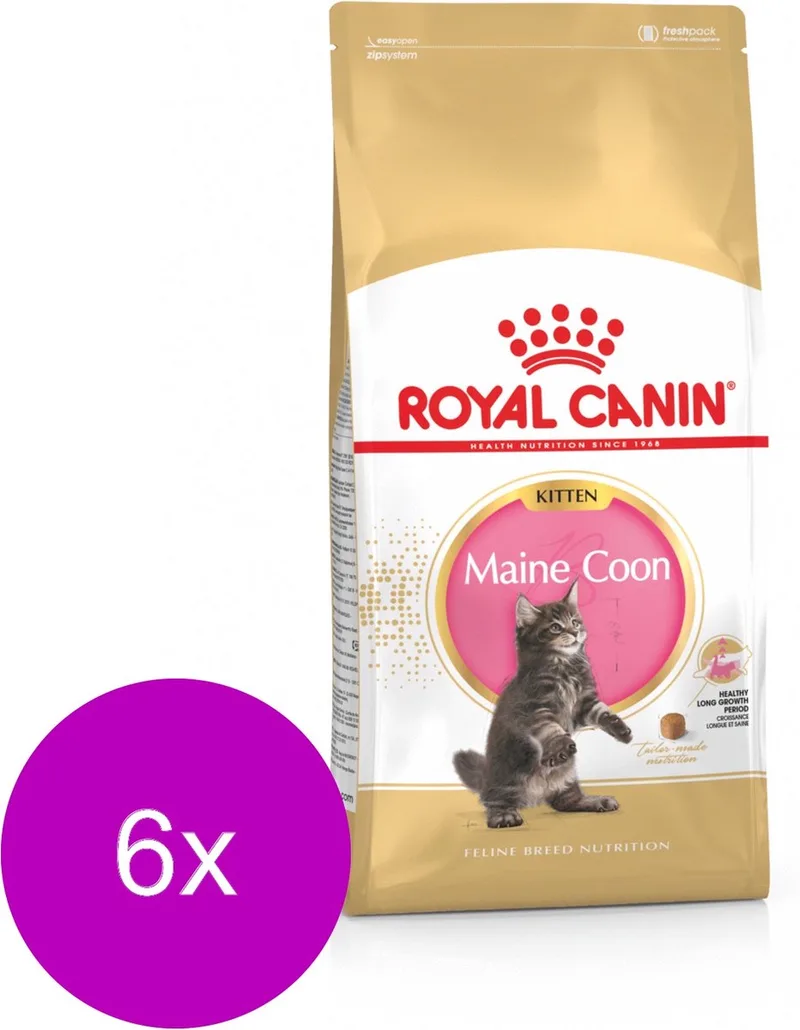 Maine Coon Kitten - Kitten-Kattenvoer - 6 x 2 kg von Royal Canin – Produktfoto