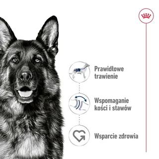 Maxi Adult Nassfutter Für Hunde von Royal Canin – Produktfoto 2 von 5