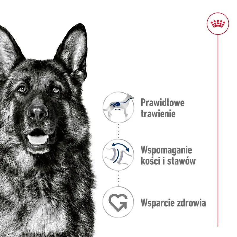Maxi Adult Nassfutter Für Hunde von Royal Canin – Produktfoto 2 von 5