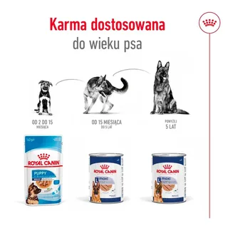 Maxi Adult Nassfutter Für Hunde von Royal Canin – Produktfoto 5 von 5