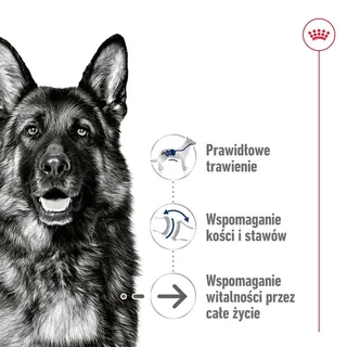 Nourriture Humide Pour Chiens Maxi Ageing de Royal Canin – photo produit 2 sur 5