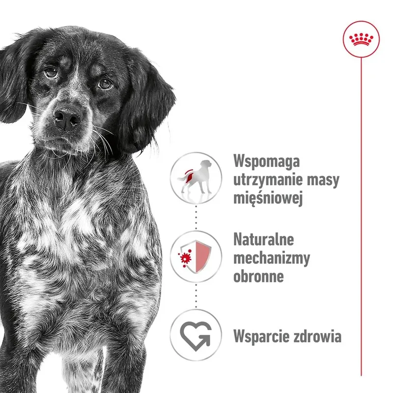 Medium Adult Natvoer in Blik voor Honden 410g by Royal Canin – product photo 2 of 5