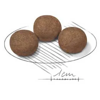 Medium Puppy - Hondenvoer - 15kg - Puppy's middelgrote rassen von Royal Canin – Produktfoto 2 von 2