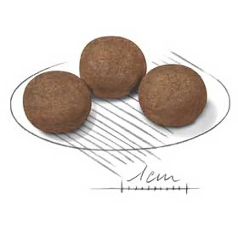 Medium Puppy - Hondenvoer - 15kg - Puppy's middelgrote rassen von Royal Canin – Produktfoto 2 von 2