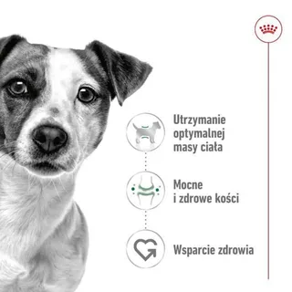 Mini Adult - Hondenvoer - 4kg - Volwassen kleine honden von Royal Canin – Produktfoto 6 von 6