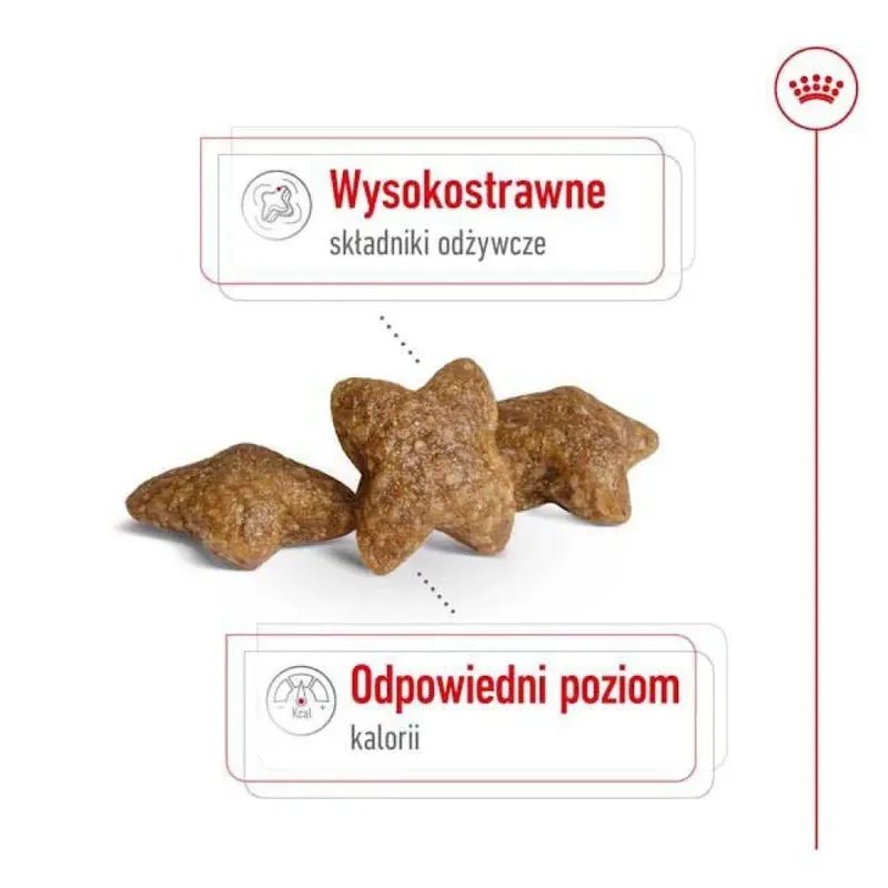 Mini Adult - Hondenvoer - 4kg - Volwassen kleine honden von Royal Canin – Produktfoto 4 von 6
