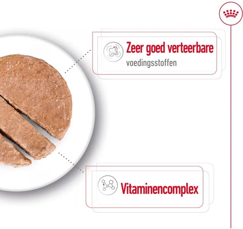 Mini Adult Hondenvoer Nat - 12 x 195 gr de Royal Canin – photo produit