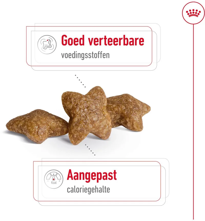 Mini Adult + Royal Canin Mini Adult Wet Combi - Hondenvoer - 8kg + 12x195g de Royal Canin – photo produit