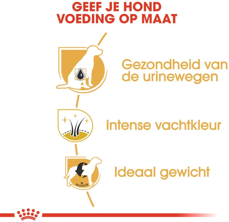 Mini Schnauzer Adult Hondenvoer - 4 x 3 kg de Royal Canin – photo produit
