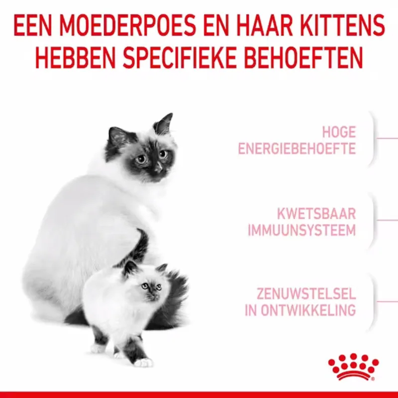 Mother & Babycat Kattenvoer - 4 x 4 kg by Royal Canin – product photo