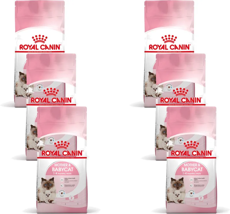 Mother & Babycat - Kitten-Kattenvoer - 6 x 400 g de Royal Canin – photo produit