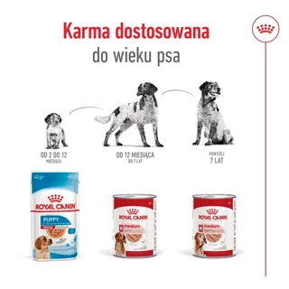Nourriture Humide Pour Chiens D´âge Moyen de Royal Canin – photo produit 5 sur 5
