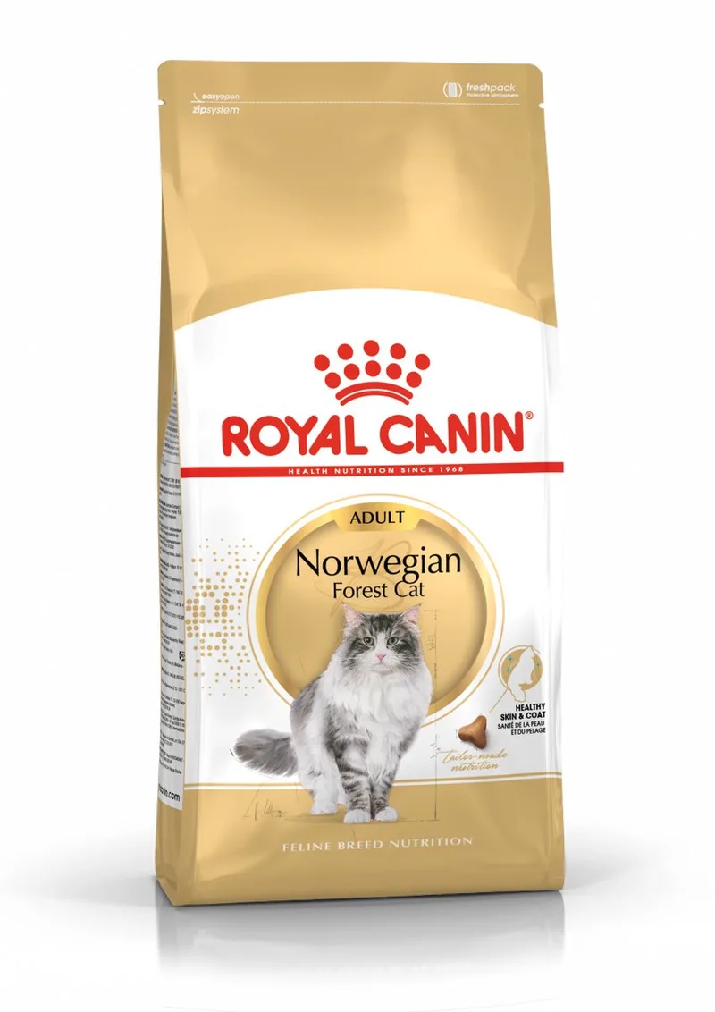 Norwegian Forest Cat Adult - 10 kg - Kattenvoer de Royal Canin – photo produit