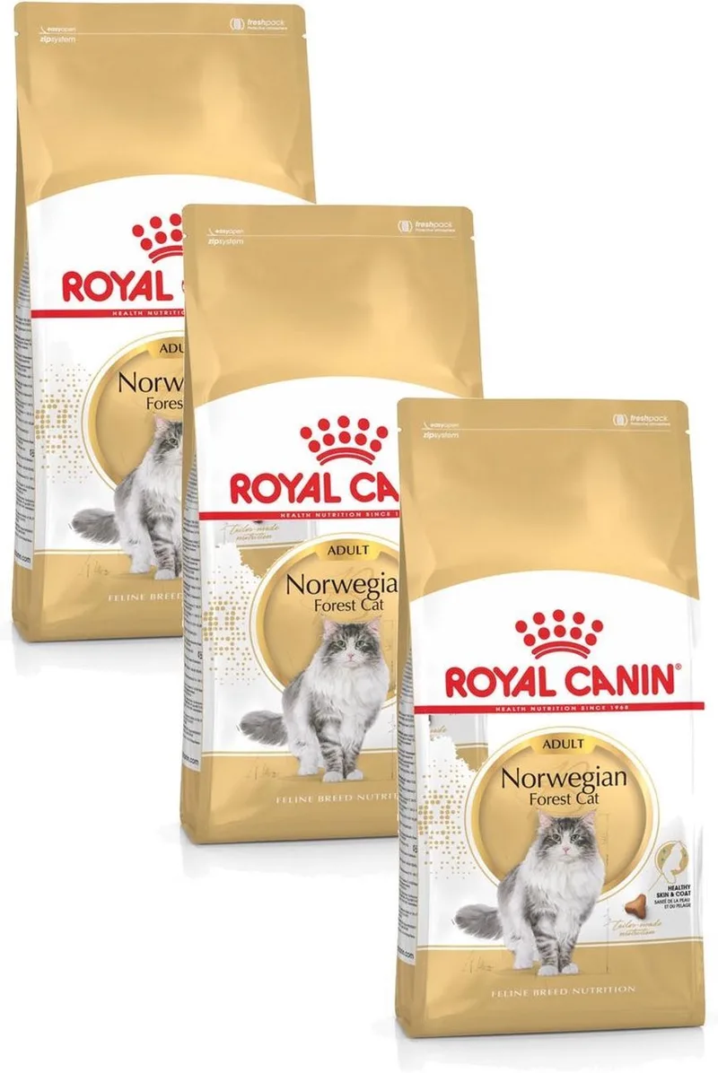 Norwegian Forest Cat Adult - Kattenvoer - 3 x 2 kg von Royal Canin – Produktfoto