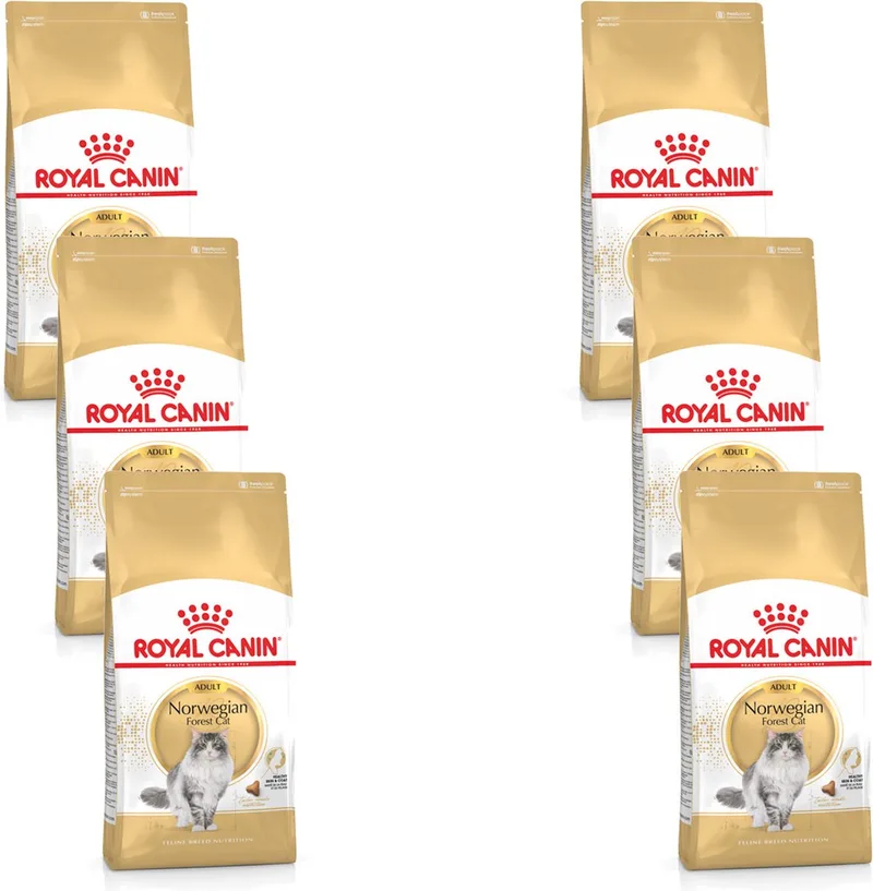 Norwegian Forest Cat Adult - Kattenvoer - 6 x 2 kg de Royal Canin – photo produit
