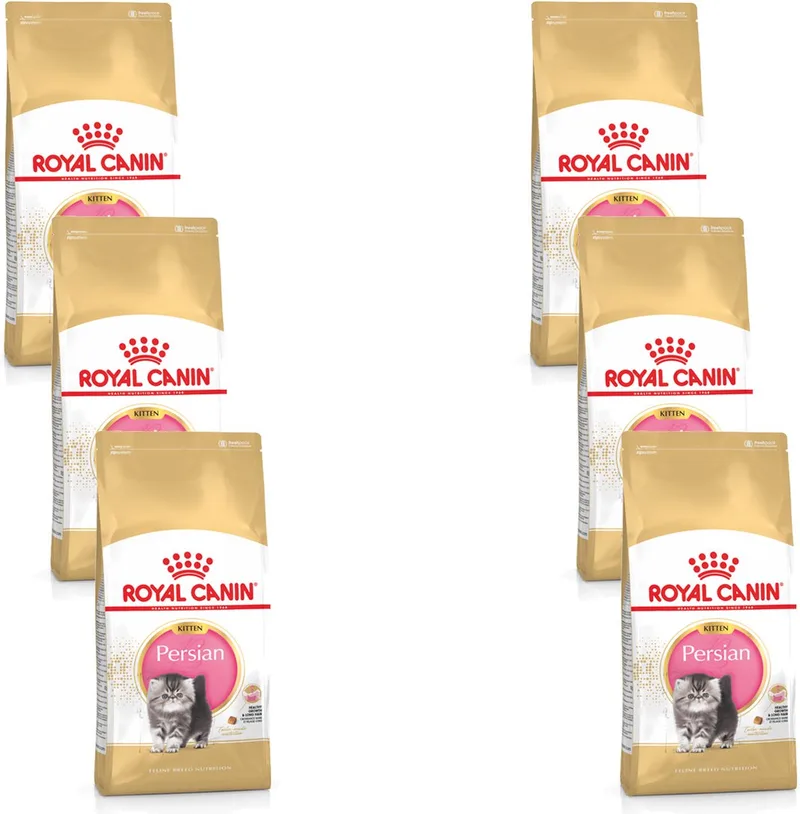 Persian Kitten - Kitten-Kattenvoer - 6 x 2 kg by Royal Canin – product photo