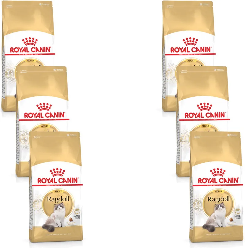 Ragdoll Adult - Kattenvoer - 6 x 2 kg de Royal Canin – photo produit