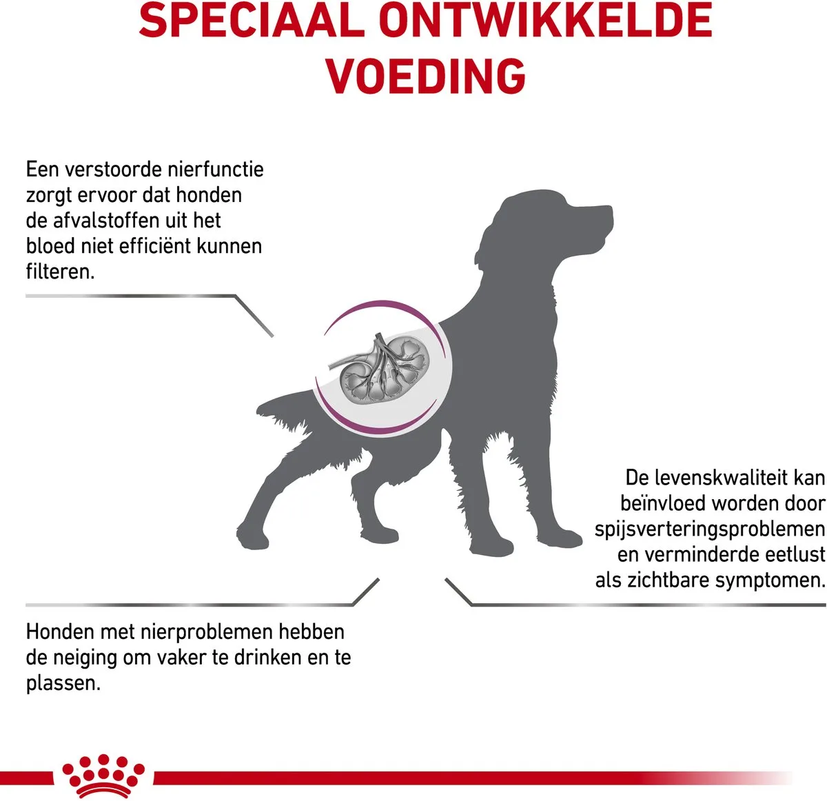 Renal Hond - 2 x 14 kg by Royal Canin – product photo