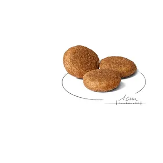 Shn Medium Volwassen Hondenvoer 15 Kg von Royal Canin – Produktfoto 2 von 2