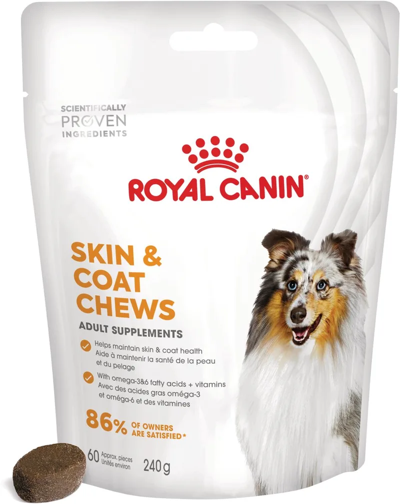 Skin & Coat Chews - 240 g - Hondensnacks by Royal Canin – product photo