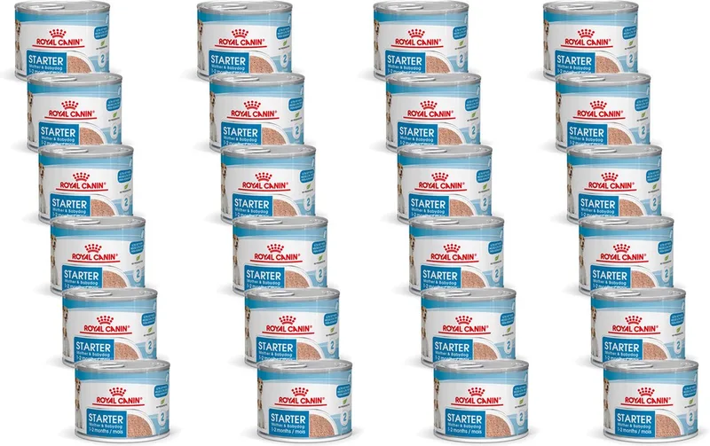 Starter Mousse Mother & Babydog - Hondenvoer - 24 x 195 g de Royal Canin – photo produit